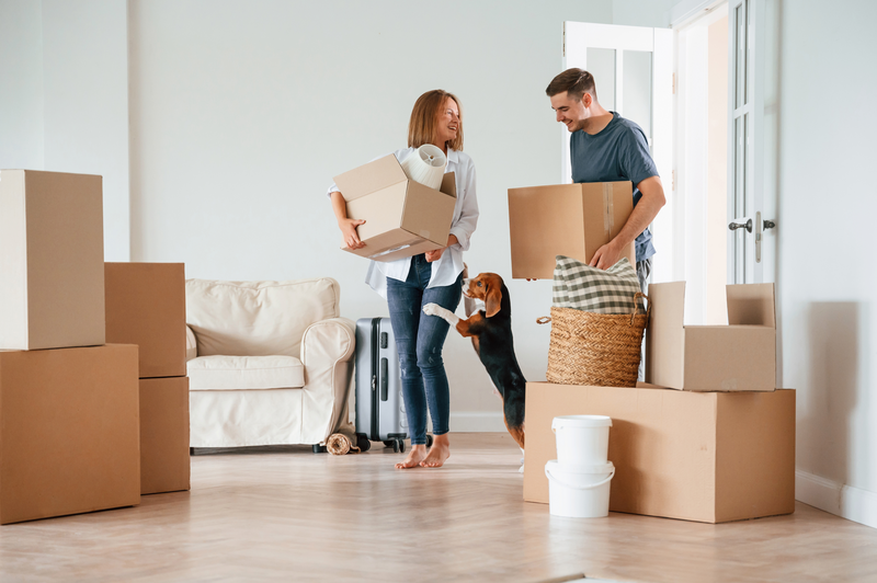 Move in